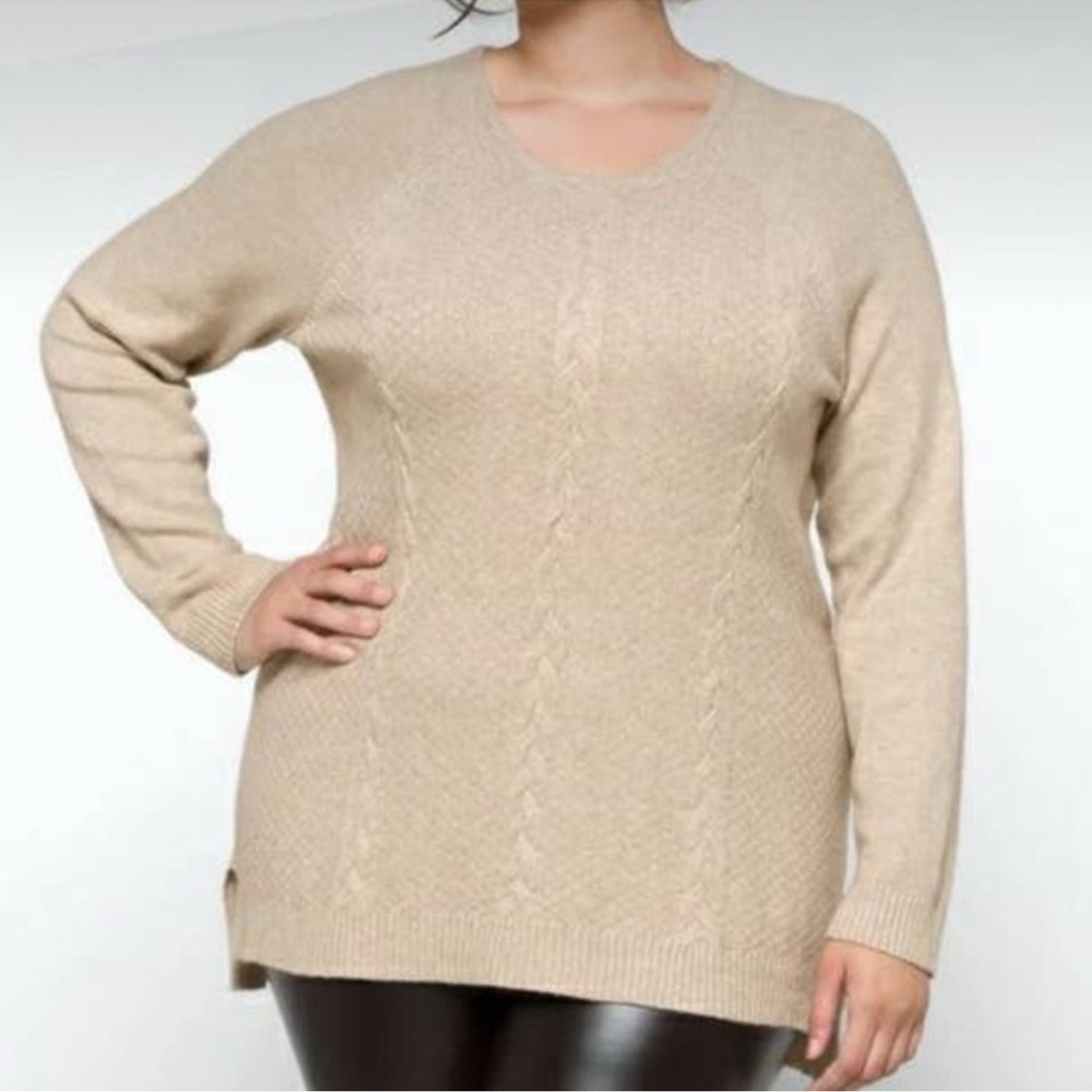 Evolution by Cyrus Milanya Cable Detail Sweater in tan, size 1X
